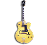 Peter Huebner - Jazz Guitar